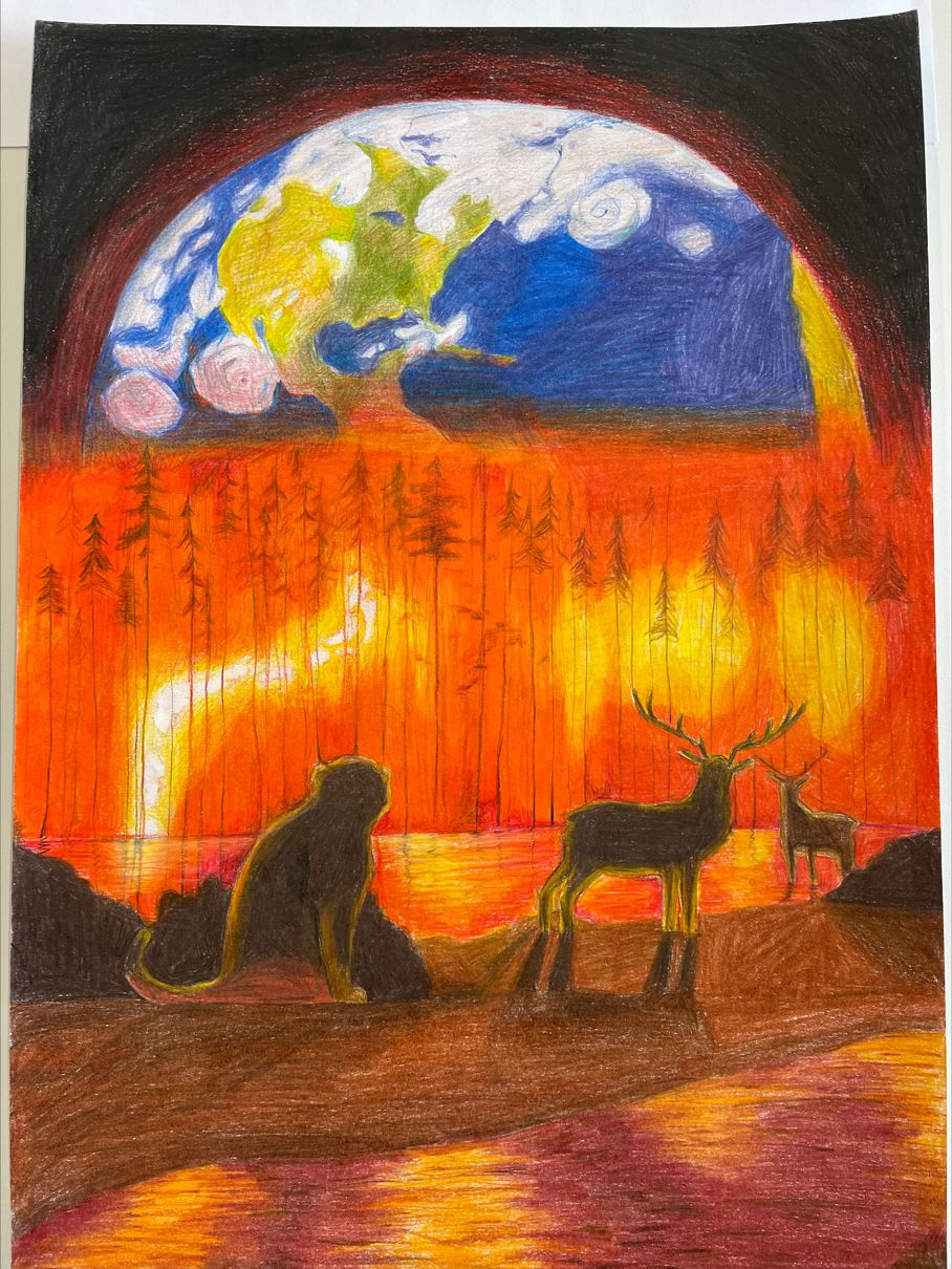 2. Platz Altersgruppe 4 (7. bis 9. Schulklasse): Maja Schnau -  „Wir haben nur eine Erde, also schütze sie“