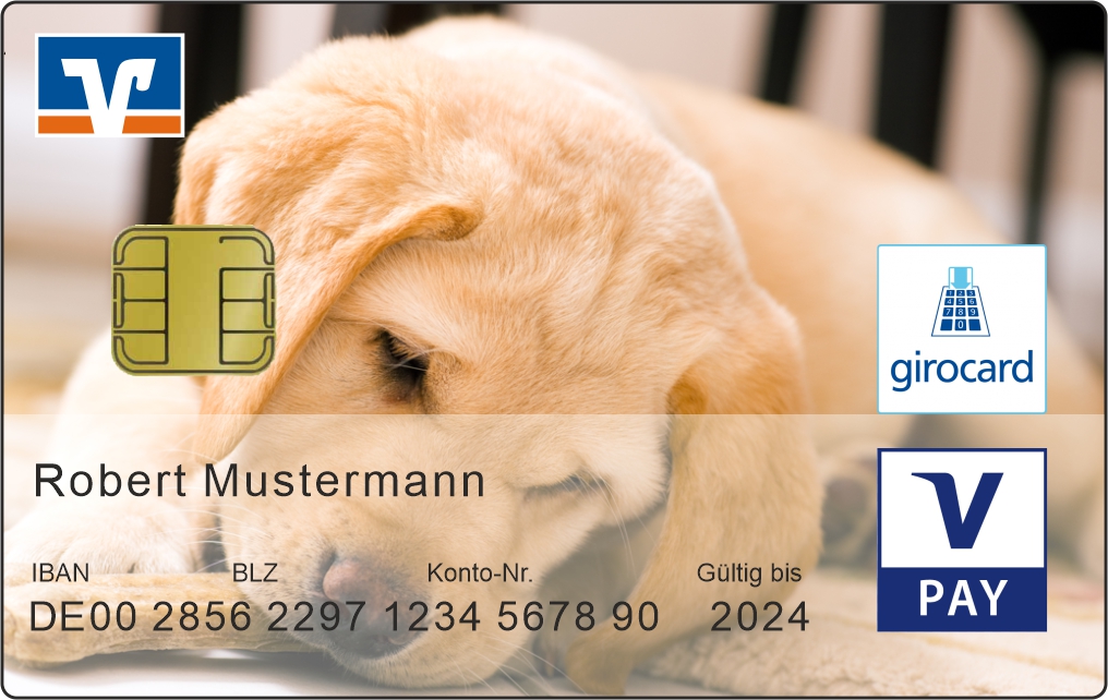 Hund